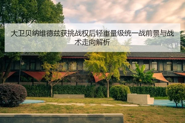 大卫贝纳维德兹获挑战权后轻重量级统一战前景与战术走向解析