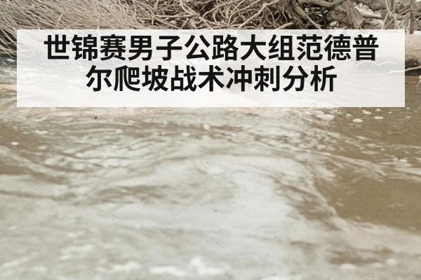 世锦赛男子公路大组范德普尔爬坡战术冲刺分析